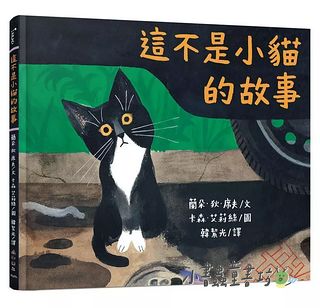 這不是小貓的故事