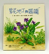 紫花地丁與螞蟻