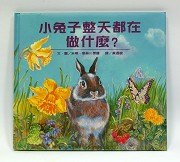 小兔子整天都在做什麼