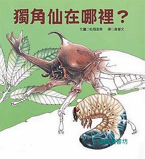 獨角仙在哪裡 85折 夏天 自然科學知識 小書蟲童書坊