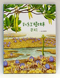 到紅樹林去玩