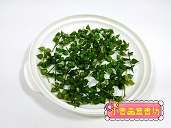  「萬串心」種植材料包 (免費贈送品)（需要的客人，請加入購書清單喔！每張訂單，限量一份) 